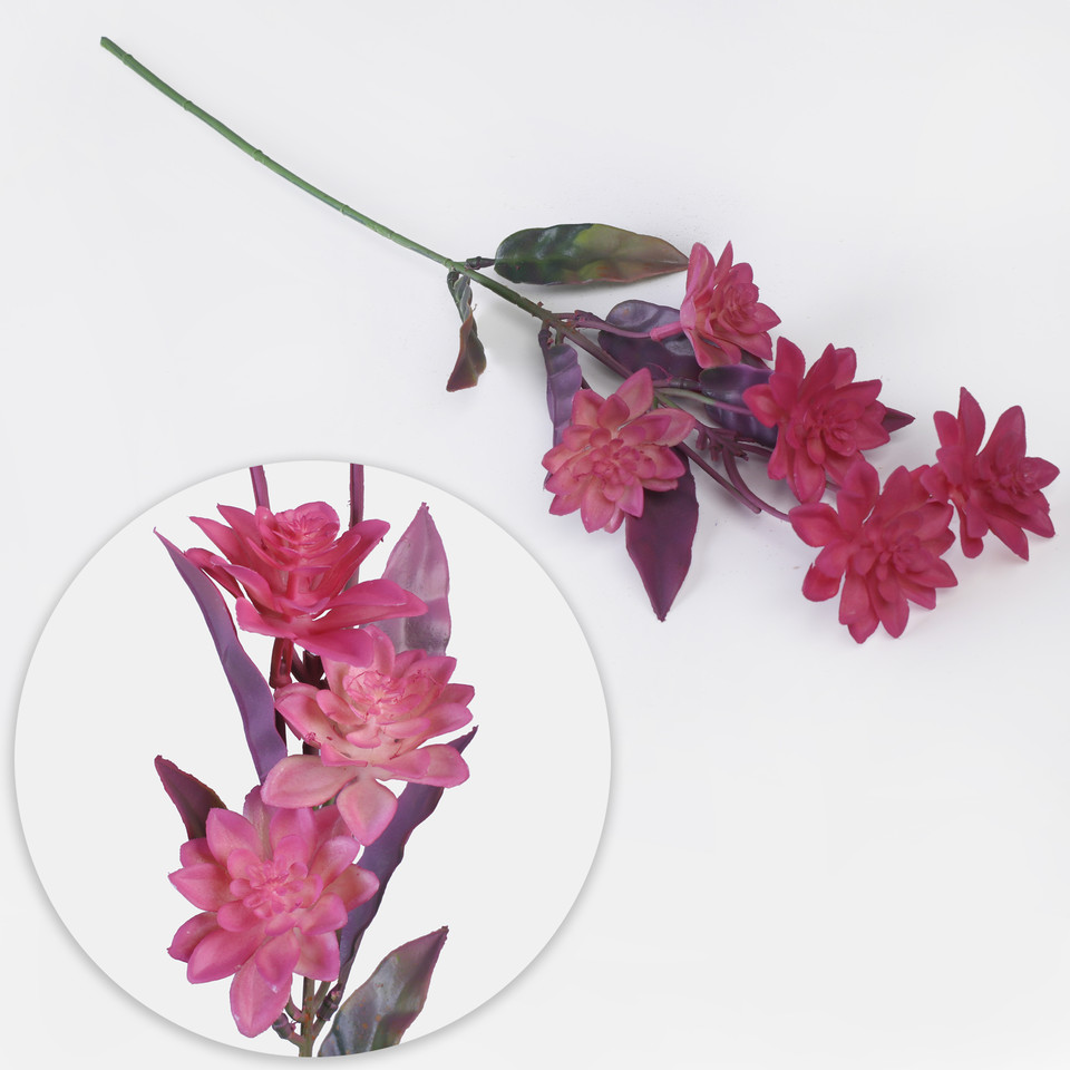 Dahlia mini, Pink G445-01