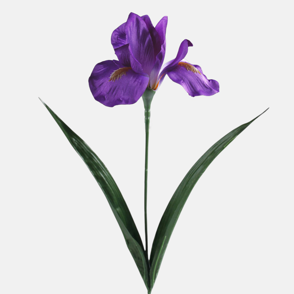Irys, Violet G142-01