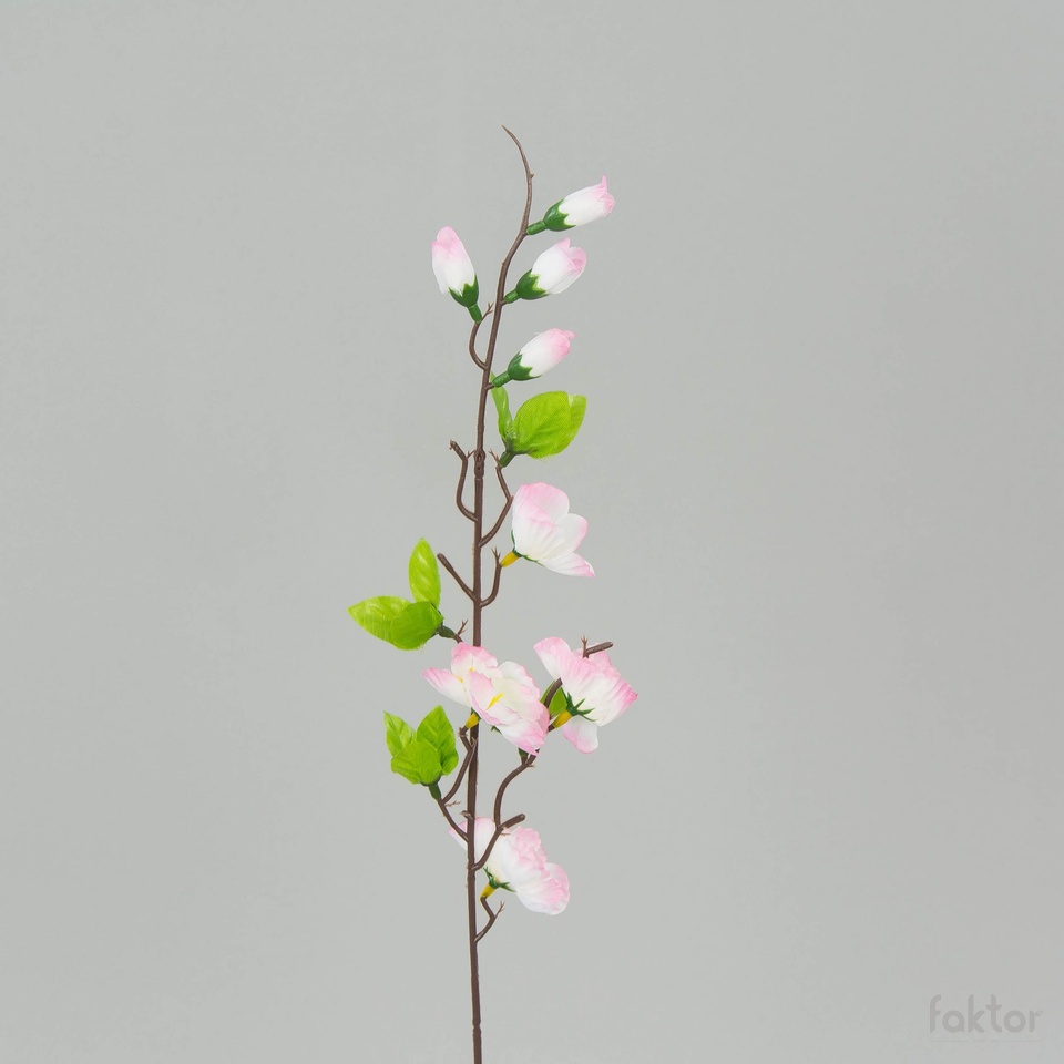 Jabłoń – gałązka (12 szt.), cream/pink K17-02