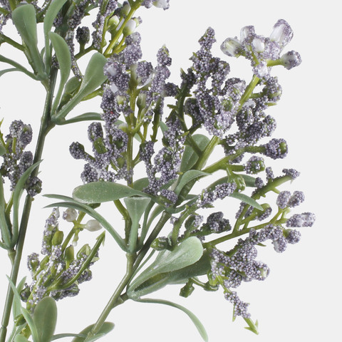 Lucerne, Lilac L855-03