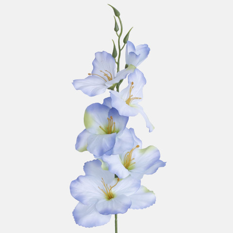 Satin gladiolus, T.T. Blue/Green Center G190K-15