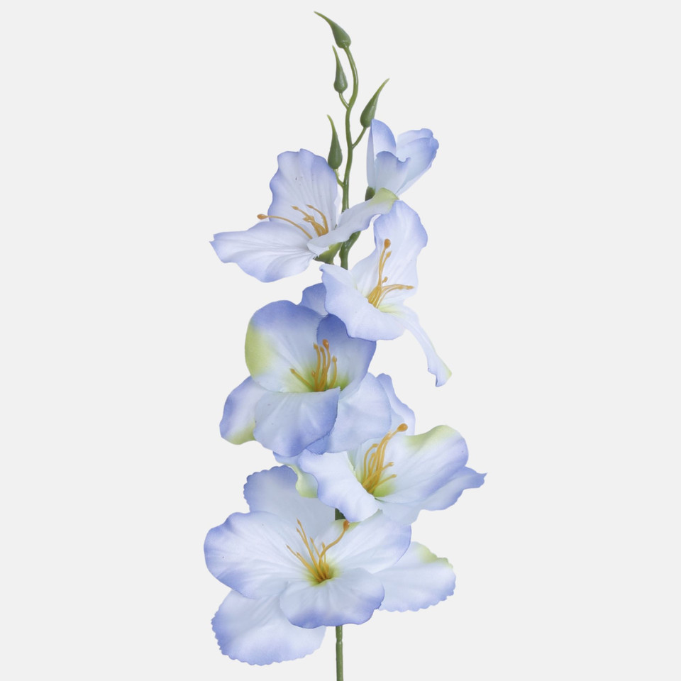 Satin gladiolus, T.T. Blue/Green Center G190K-15