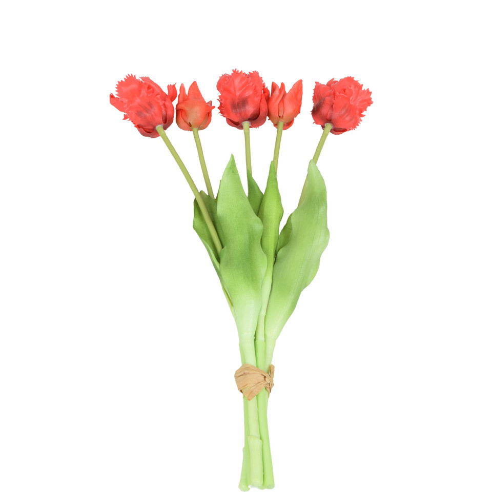 Tulipan - bukiet gumowany x5 42 cm, m U355-m