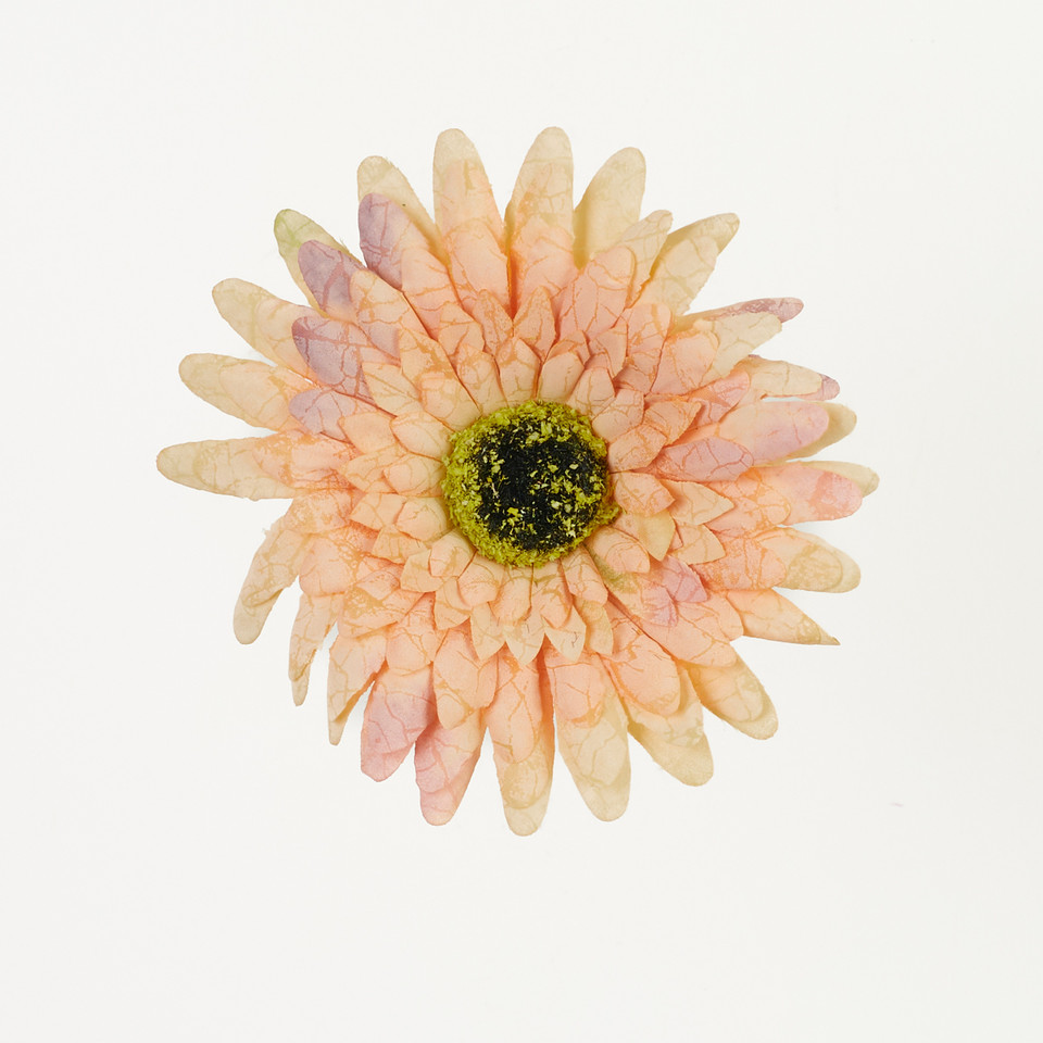 Gerbera – główka drukowana, sand B75-09