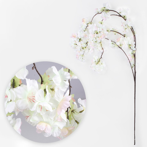Apple-tree, White L874-01