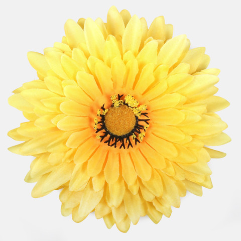 Gerbera W539