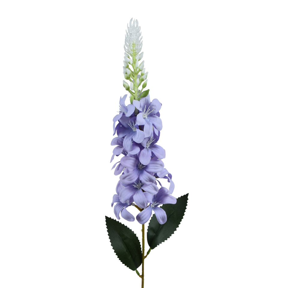 Delfinium Ostróżka – gałązka 75 cm, m2 K649-m2