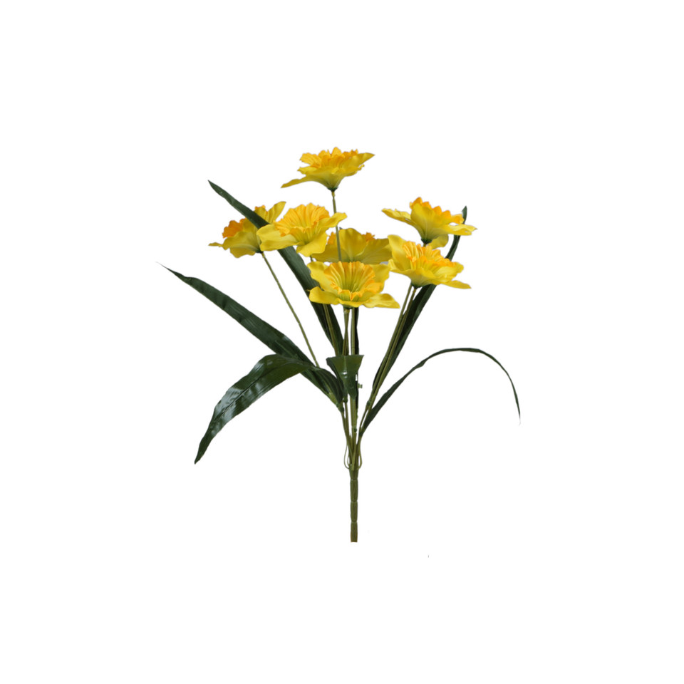 Żonkil - bukiet 51 cm, yellow U188E-00