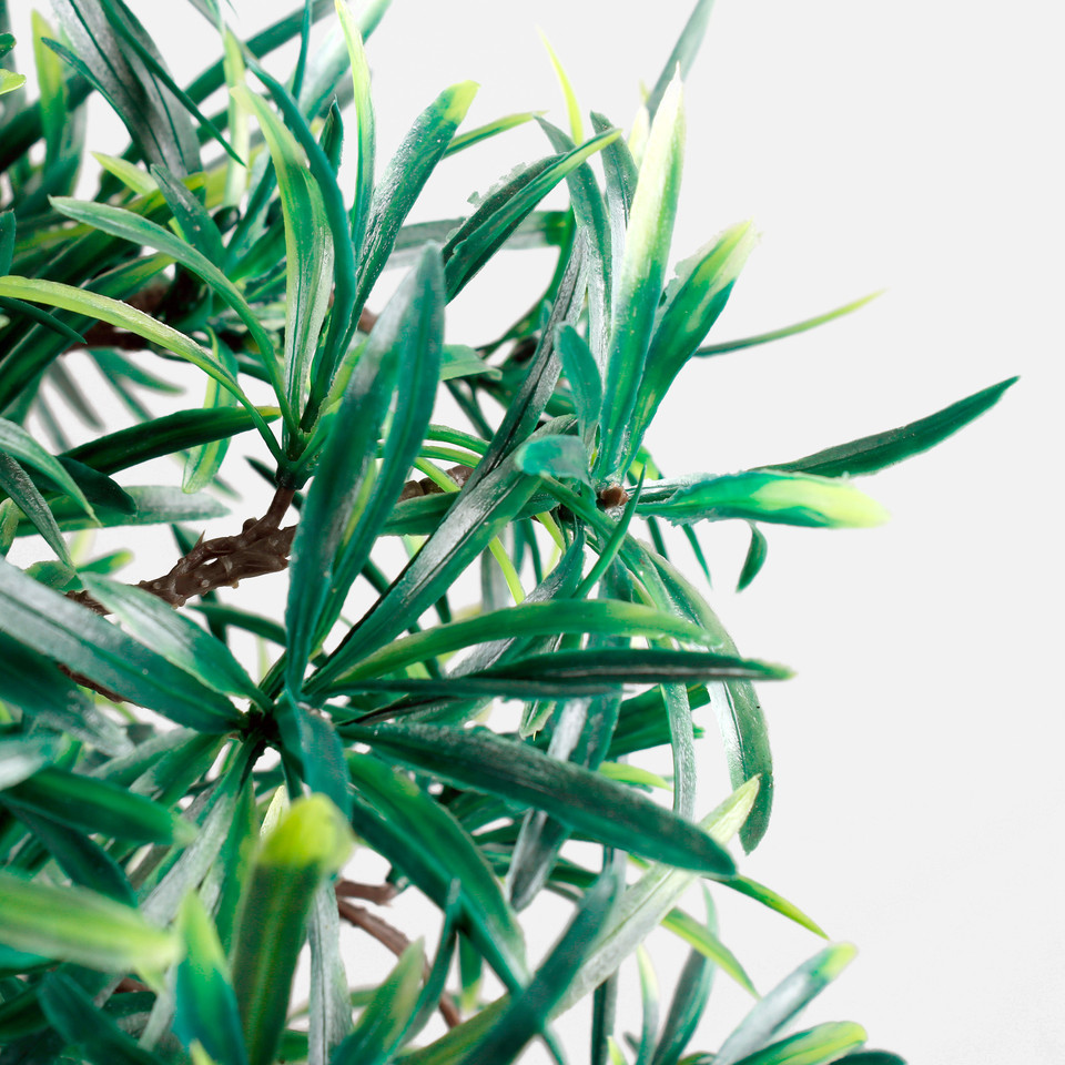 Bonsai D356