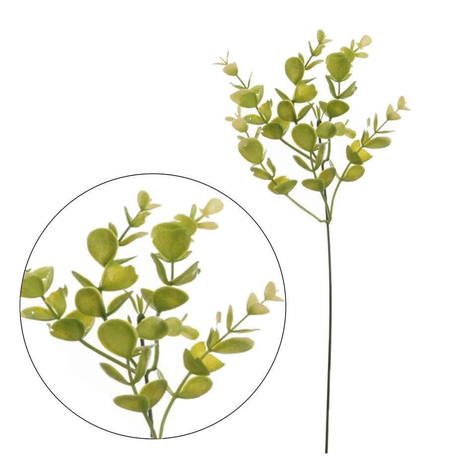 Eukaliptus - gałązka 35 cm, green/cream L279-01