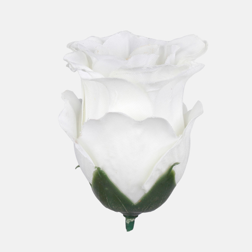 Róża w pąku, Cream W681-03