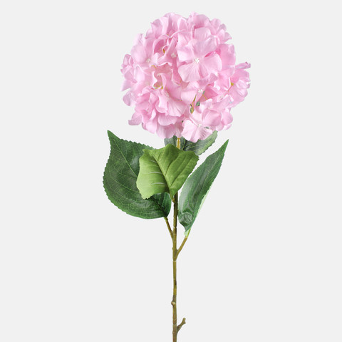 Hydrangea, Mauve L877-02