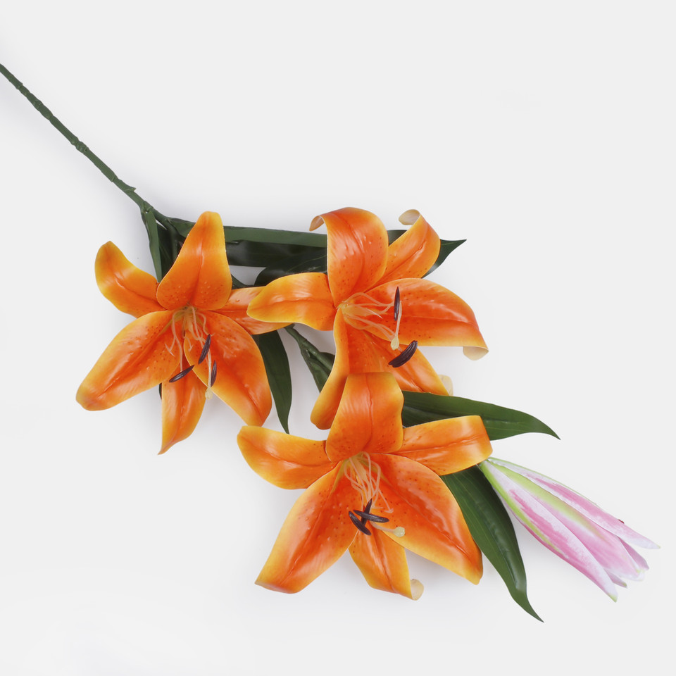 Lilia x  3, Orange L010L-04