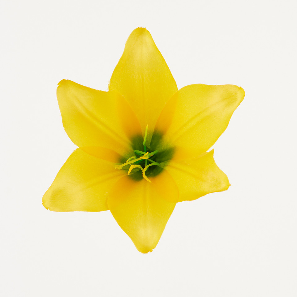 Lilia – główka satyna, yellow B276-006