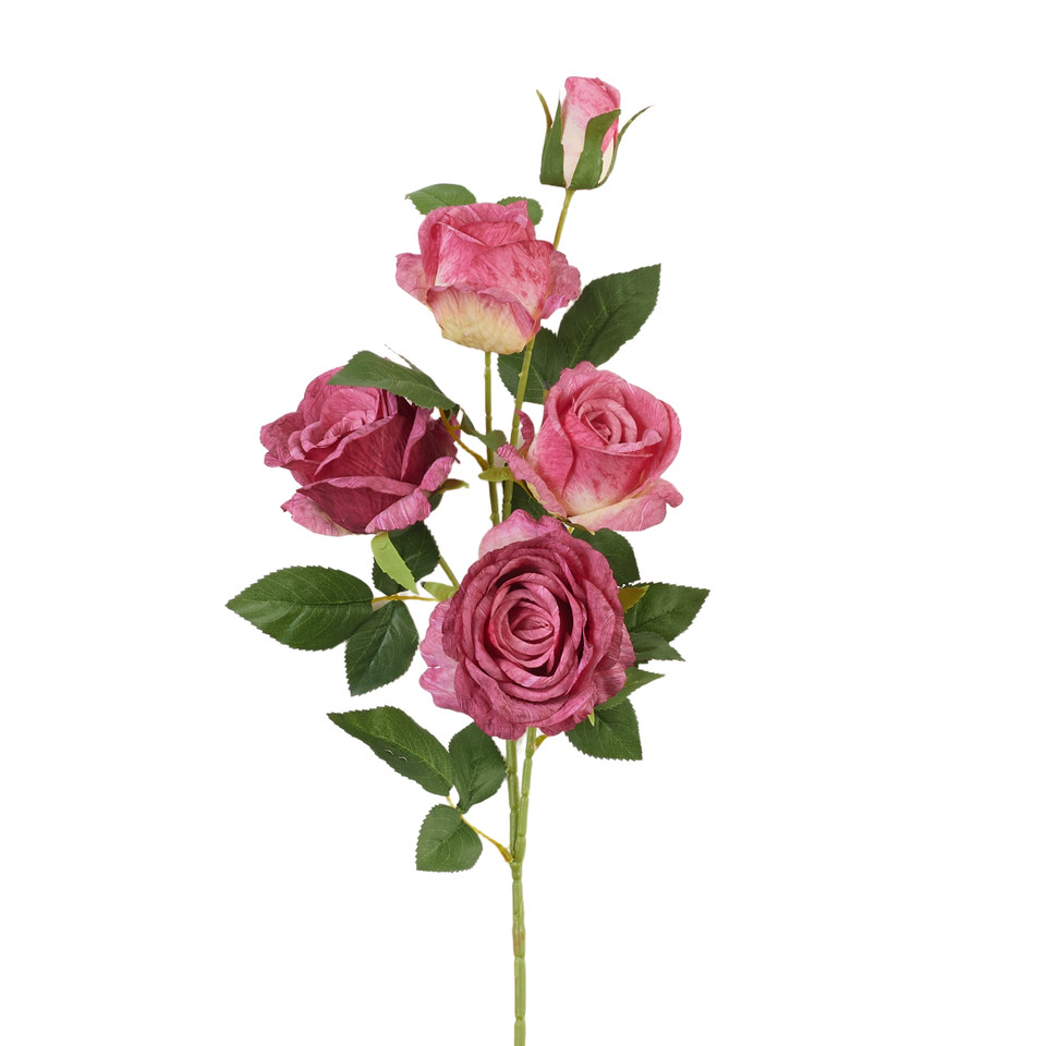 Róża - gałązka, 05 fuchsia AL140-05