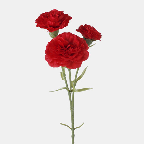 Goździk x 3, Pure Red L699-02