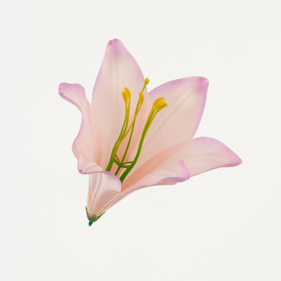Lilia – główka satyna, true pink B276-034