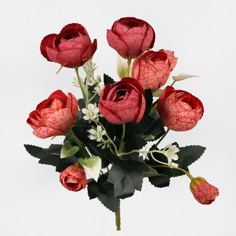 Camellia, Mix 1 QA126-01