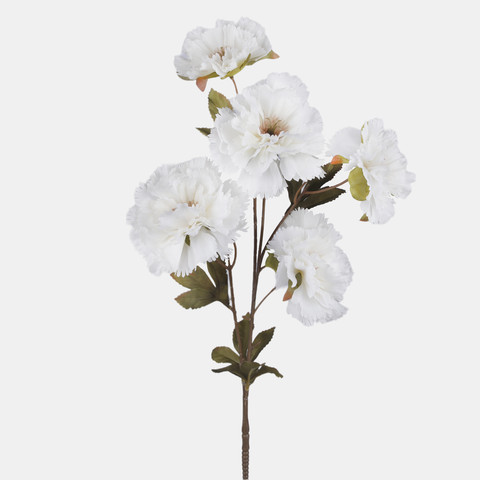 Poppy, White L906-01