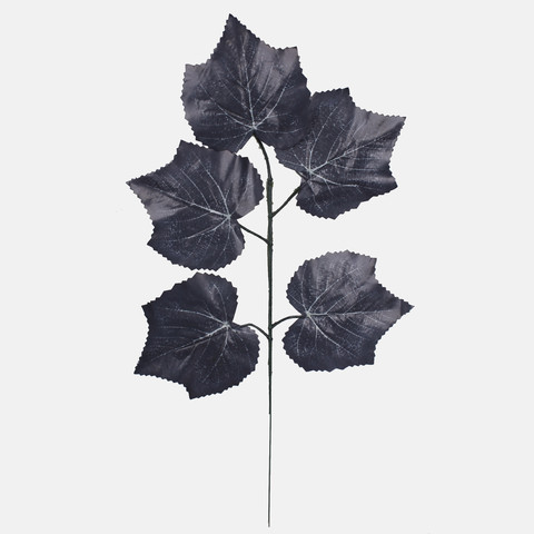 Maple, Black F243-02