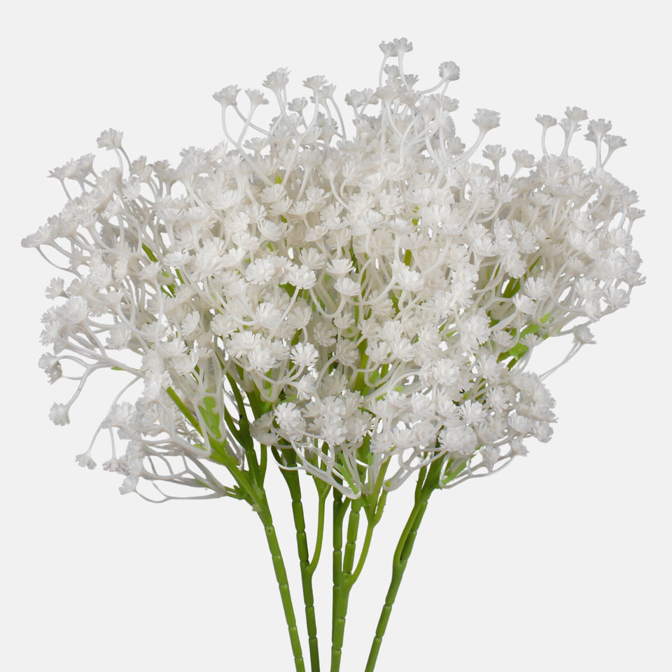 Gypsophila, White G200A-02