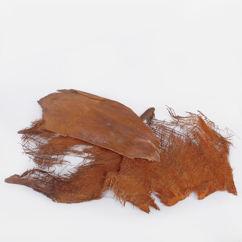 Palm tree bark 250 g Y018