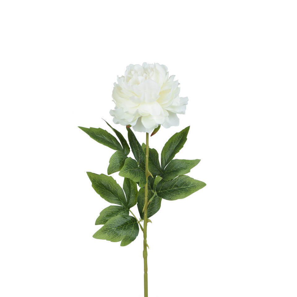 Peonia - gałązka 68 cm, white K415-01