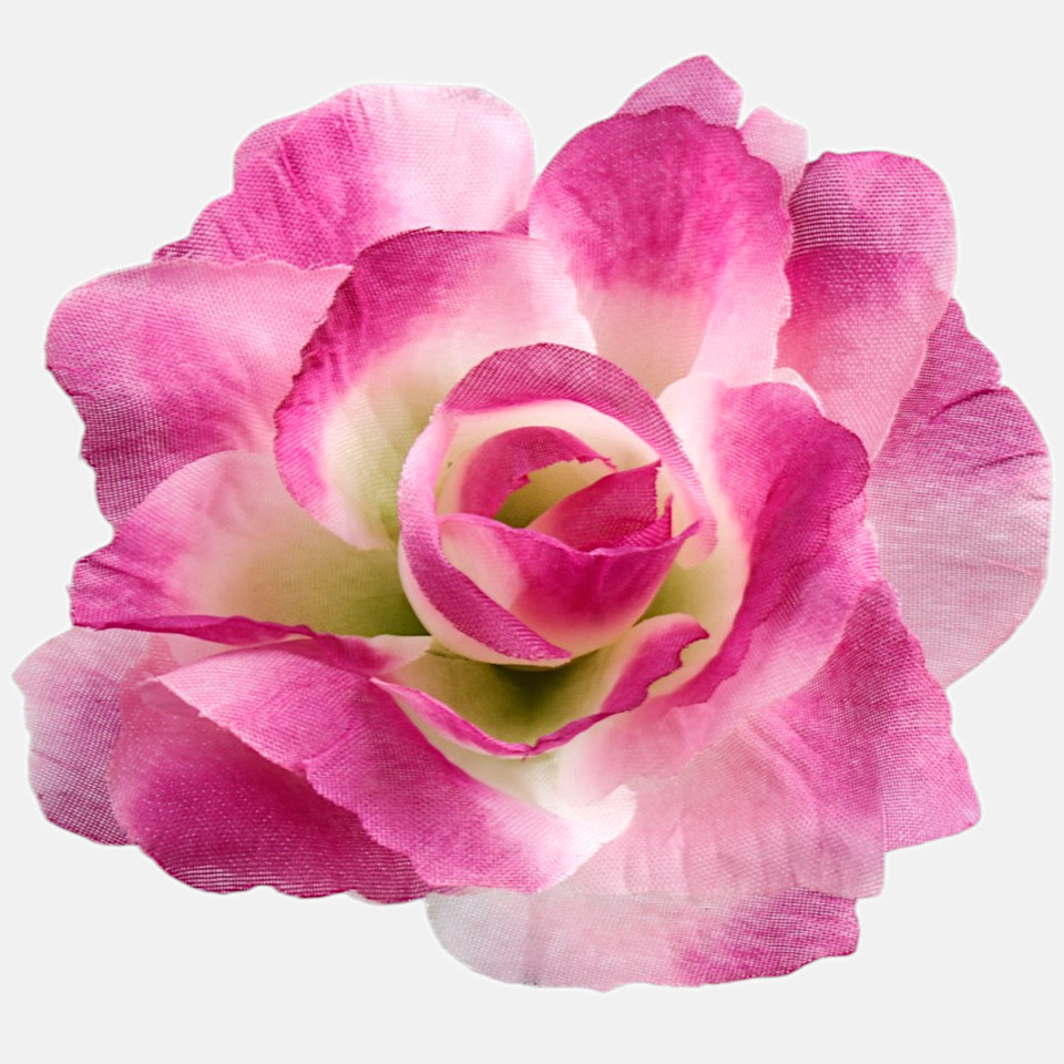 Rose head, T.T. Purple W748-01