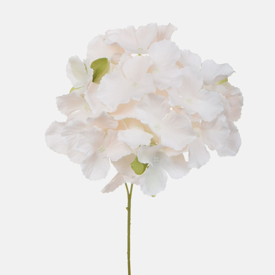 Hortensja, Cream/Lt. Pink BK320-03