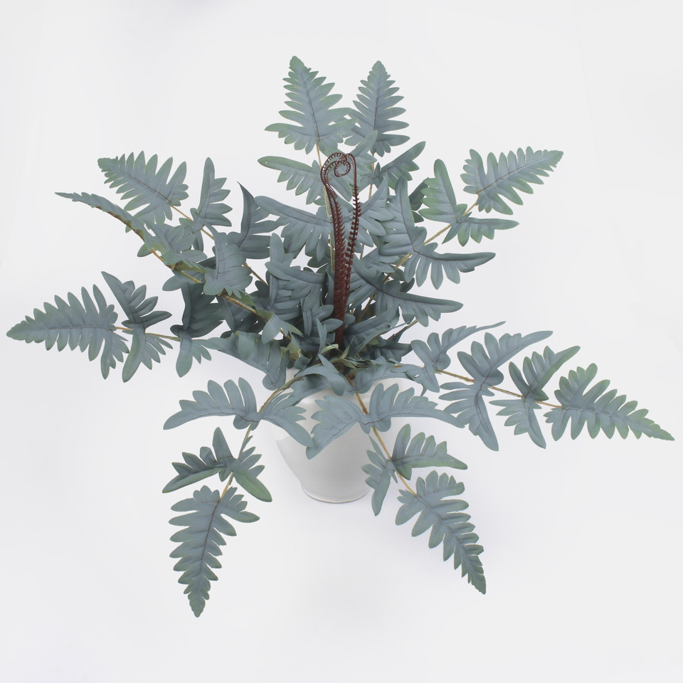 Fern bush, Mix 1 Z180-01
