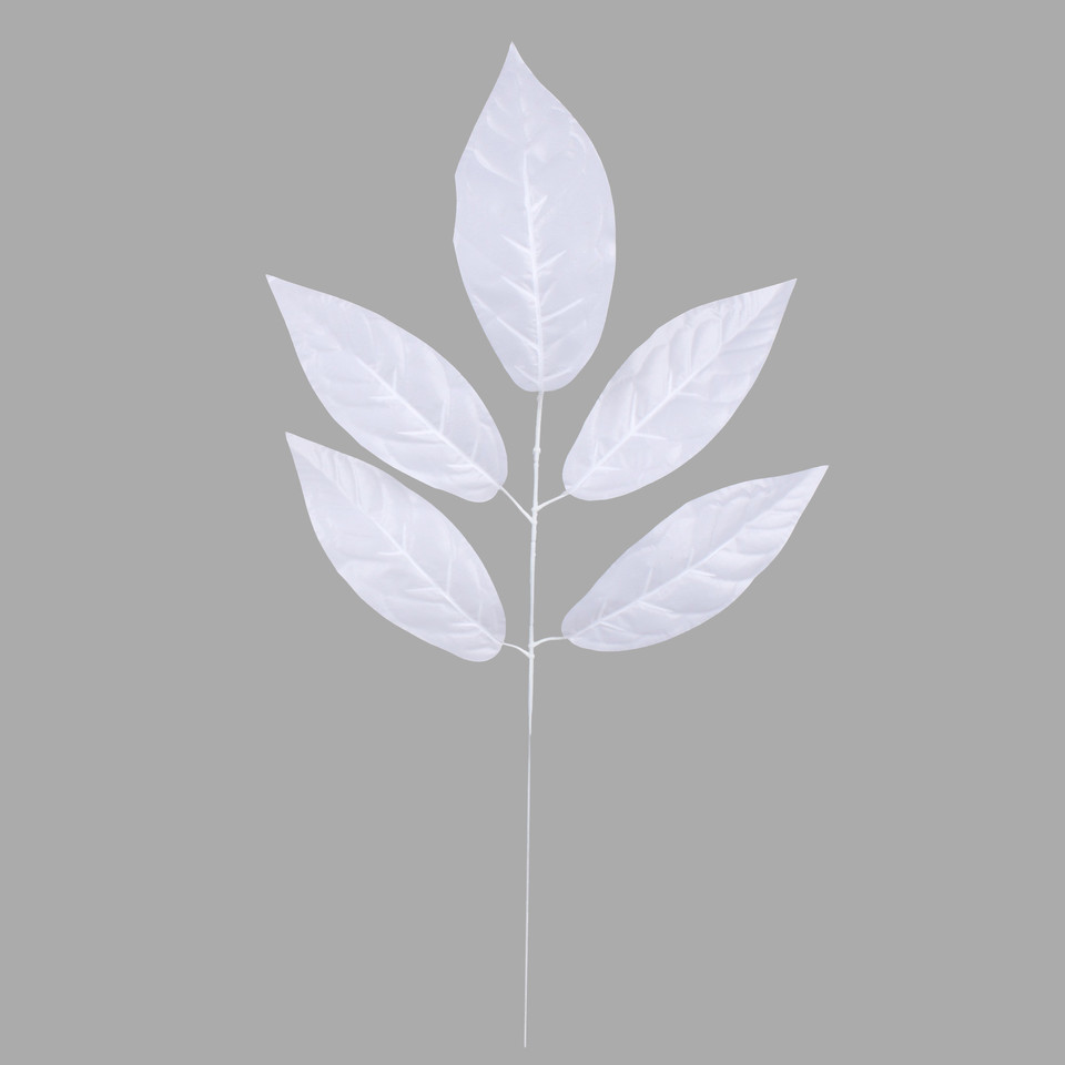 Mango (1 x 5), White F161W-01