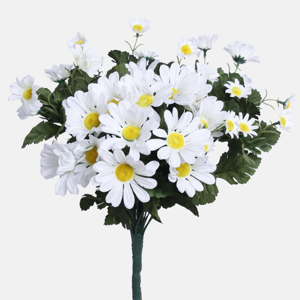 Margaretka, Mix BU405-01