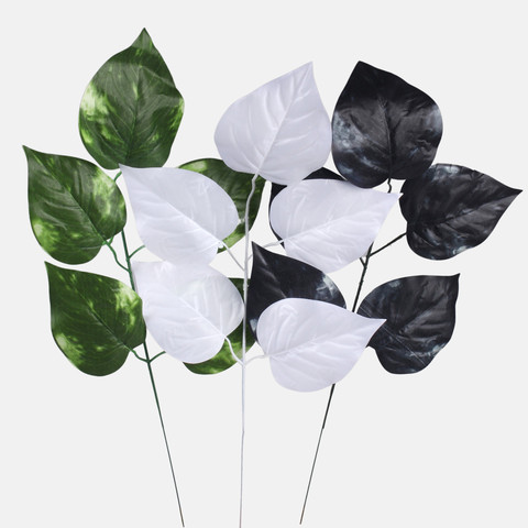 Linden, White F162-03