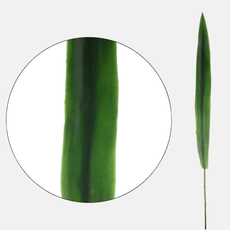 Liść gumowany storczyka, Green L319-00