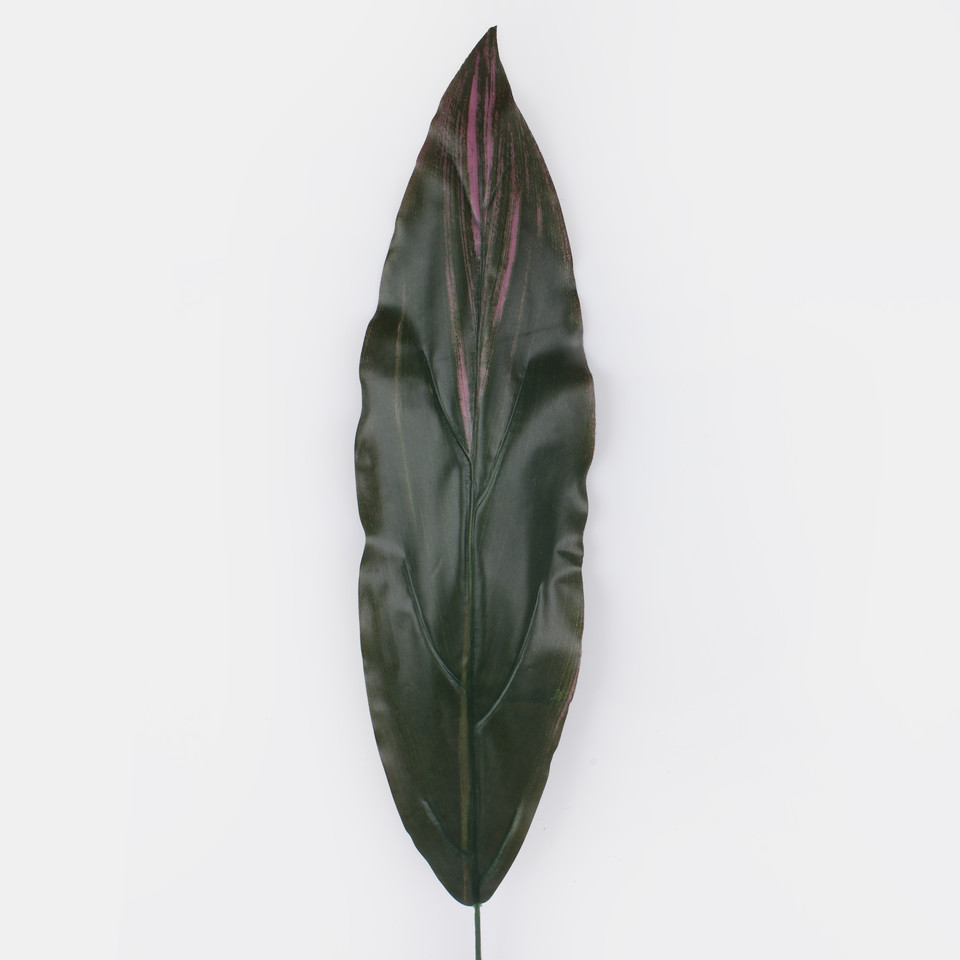 Dracaena leaf, Dk. Green/Pink A170