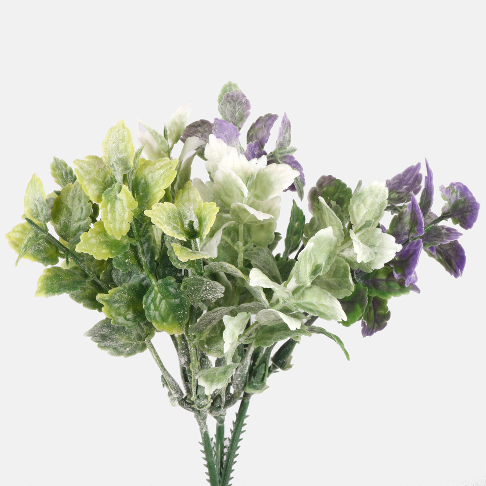 Mint, Mix 1 A317-01