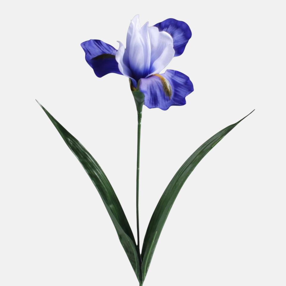 Irys, Blue G142-02