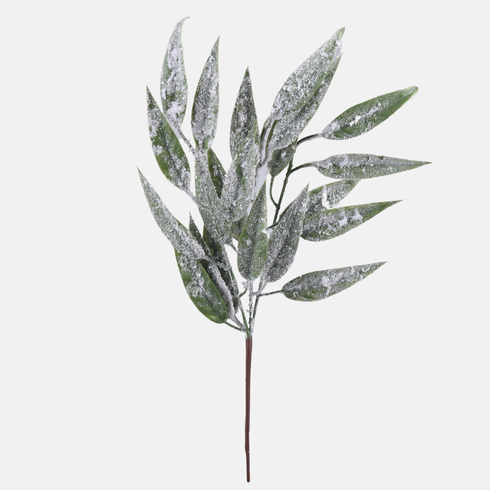 Snow-covered willow, Frosted Green A853S-01