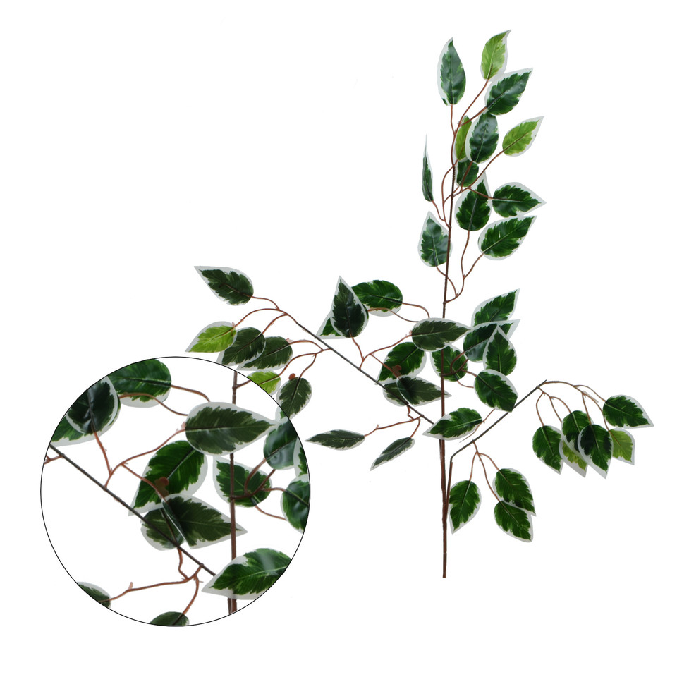 Fikus - gałązka liściasta 60 cm, green/white L494-01