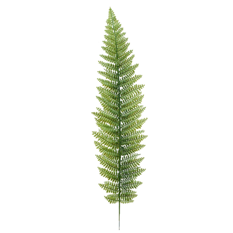 Paproć - liść 55 cm, green L803-00