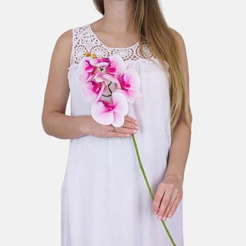 Orchid L775L (Product size)