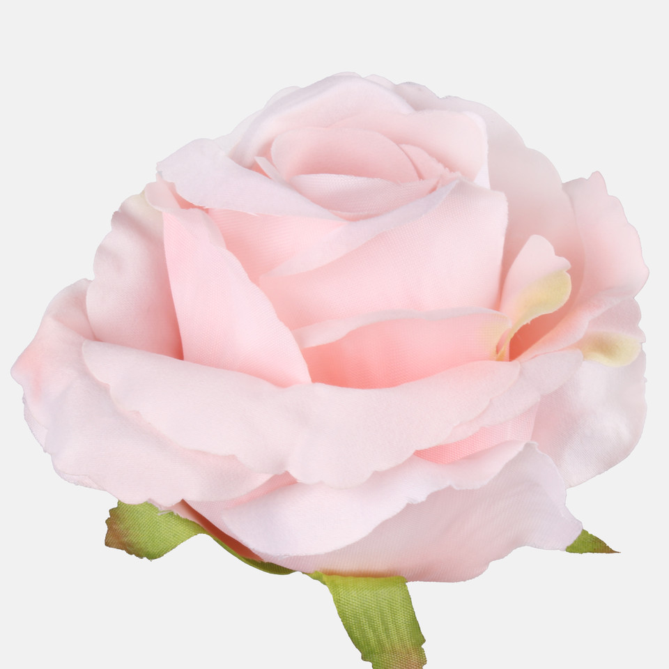 Rose, Lt. Pink W697-18