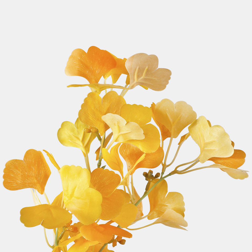 Miłorząb, Yellow/Orange F115-02