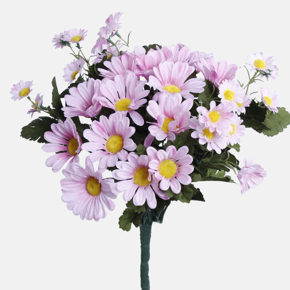 Margaretka, Mix BU405-01