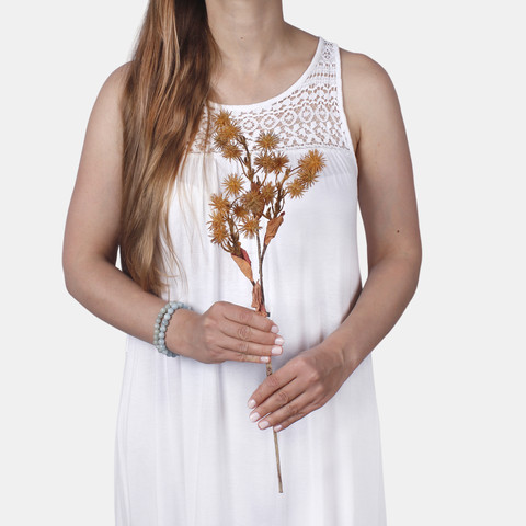 Thistle A770 (Product size)