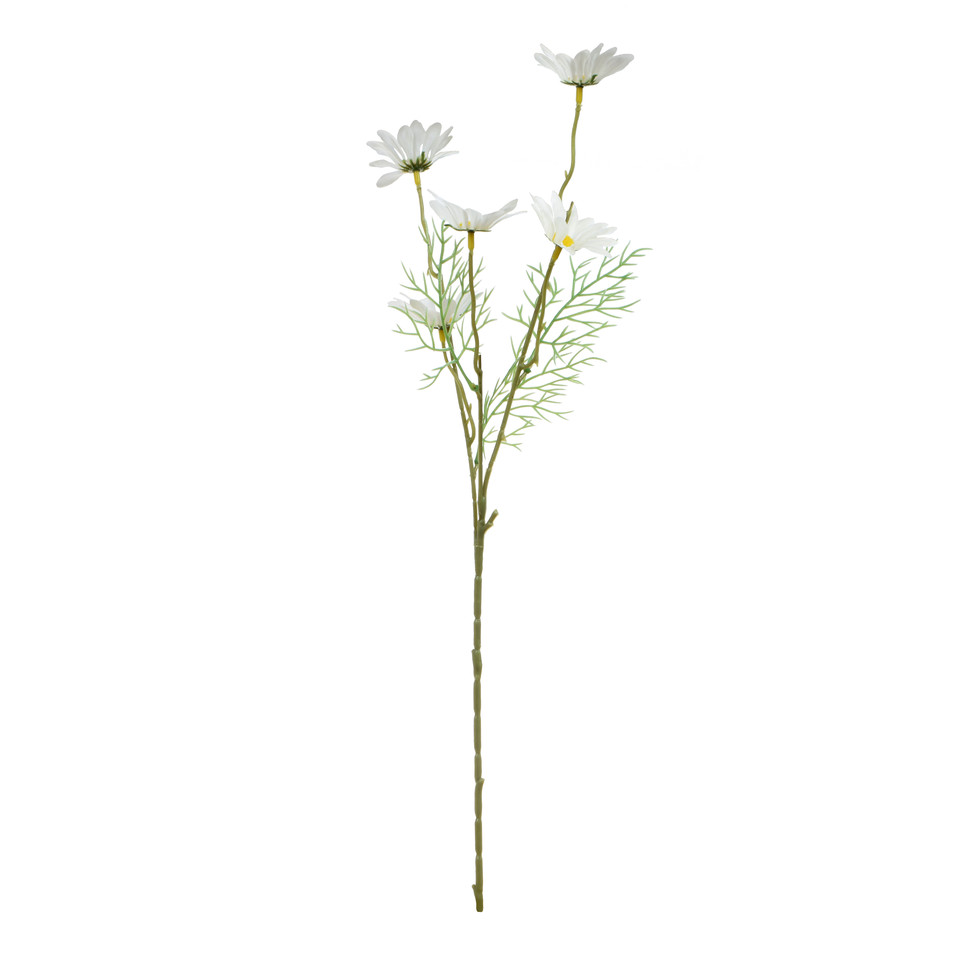Rumianek - gałązka 52 cm, m GK780-m