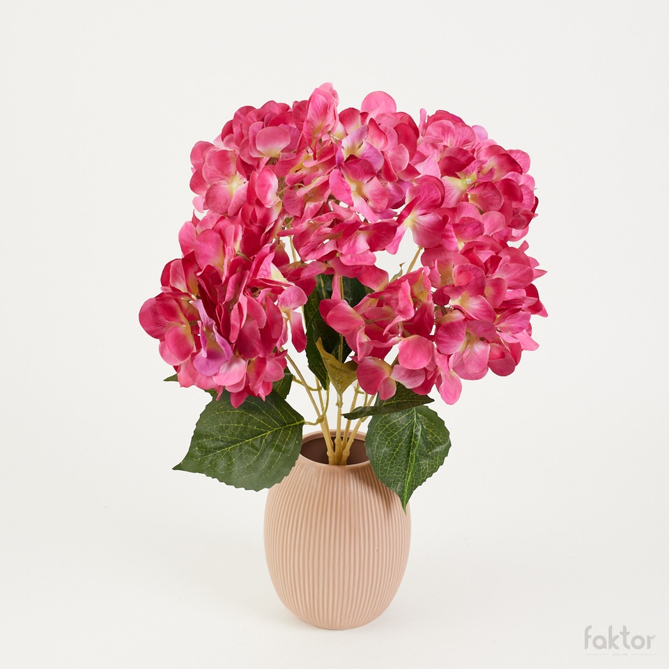 Hortensja bukiet x5, pink UN31-09