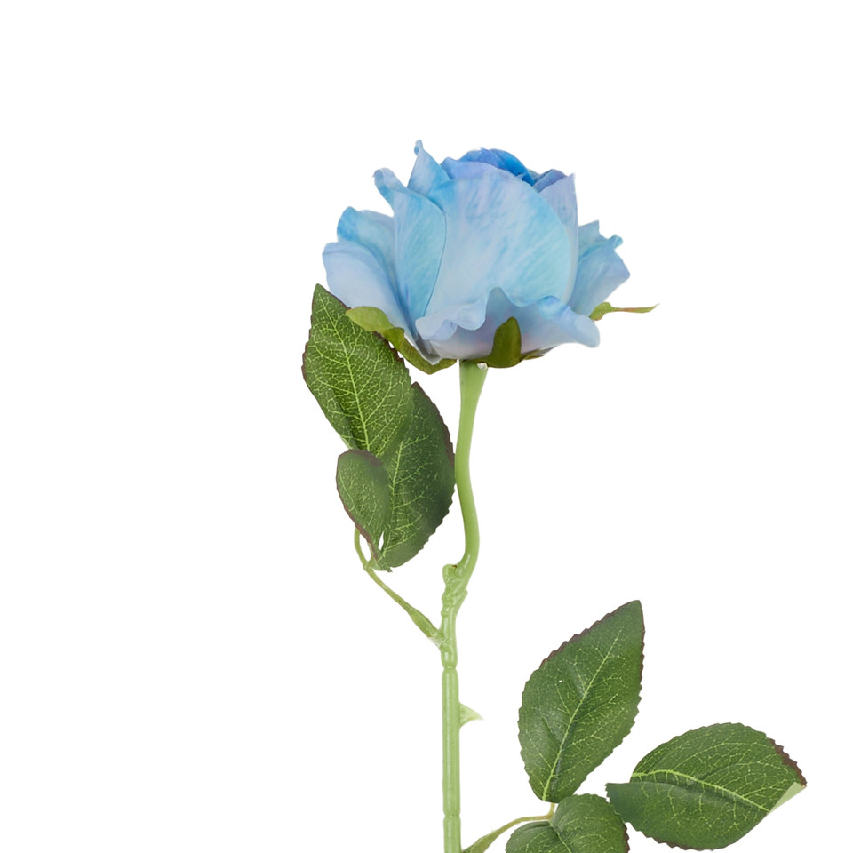 Róża - gałązka, #11 lt blue B78-11