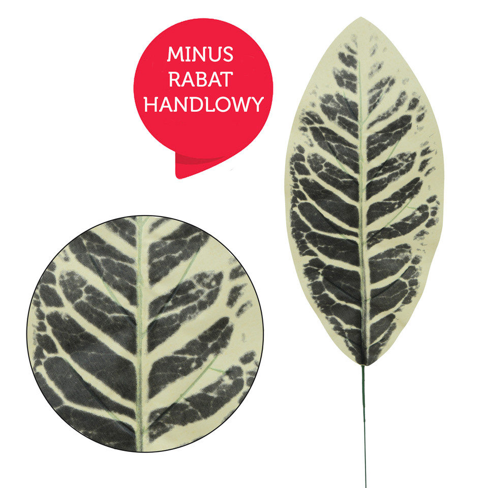 Kalatea - liść 49 cm L530-00