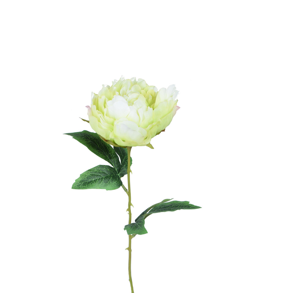 Peonia - gałązka 57 cm, m K417-m